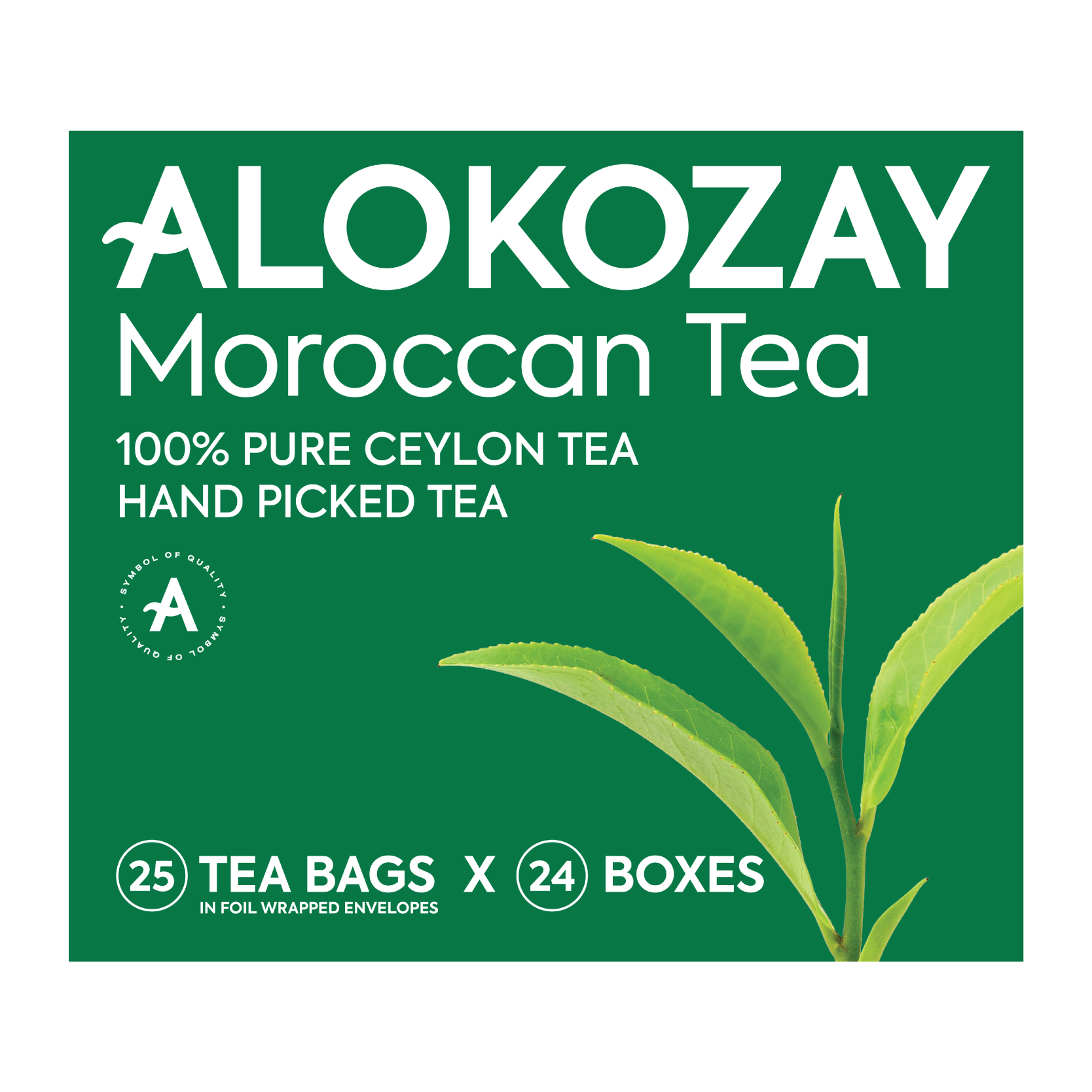 Product Pack of 12 Img Product Pack of 12 Img