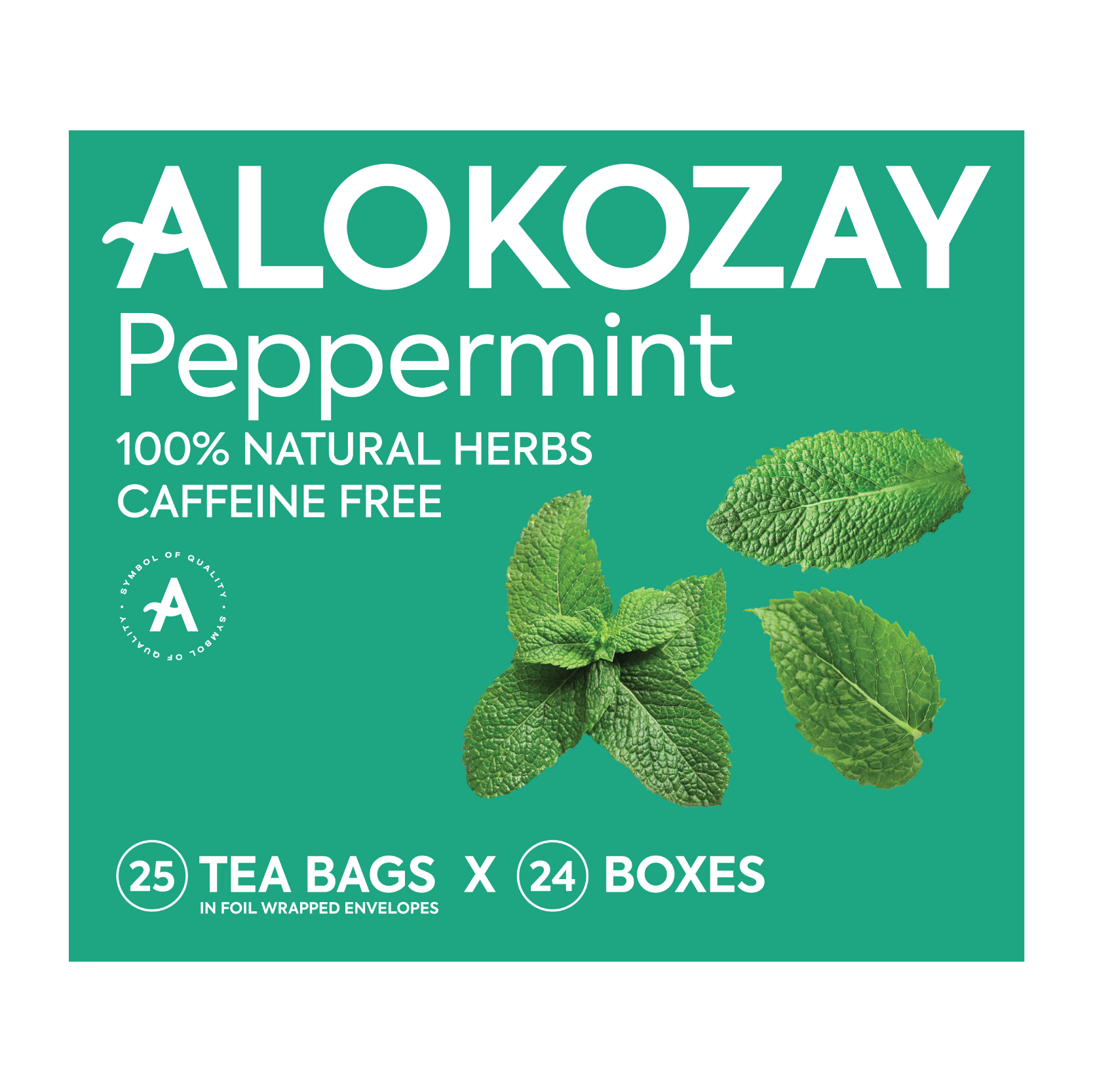 Product Pack of 12 Img Product Pack of 12 Img