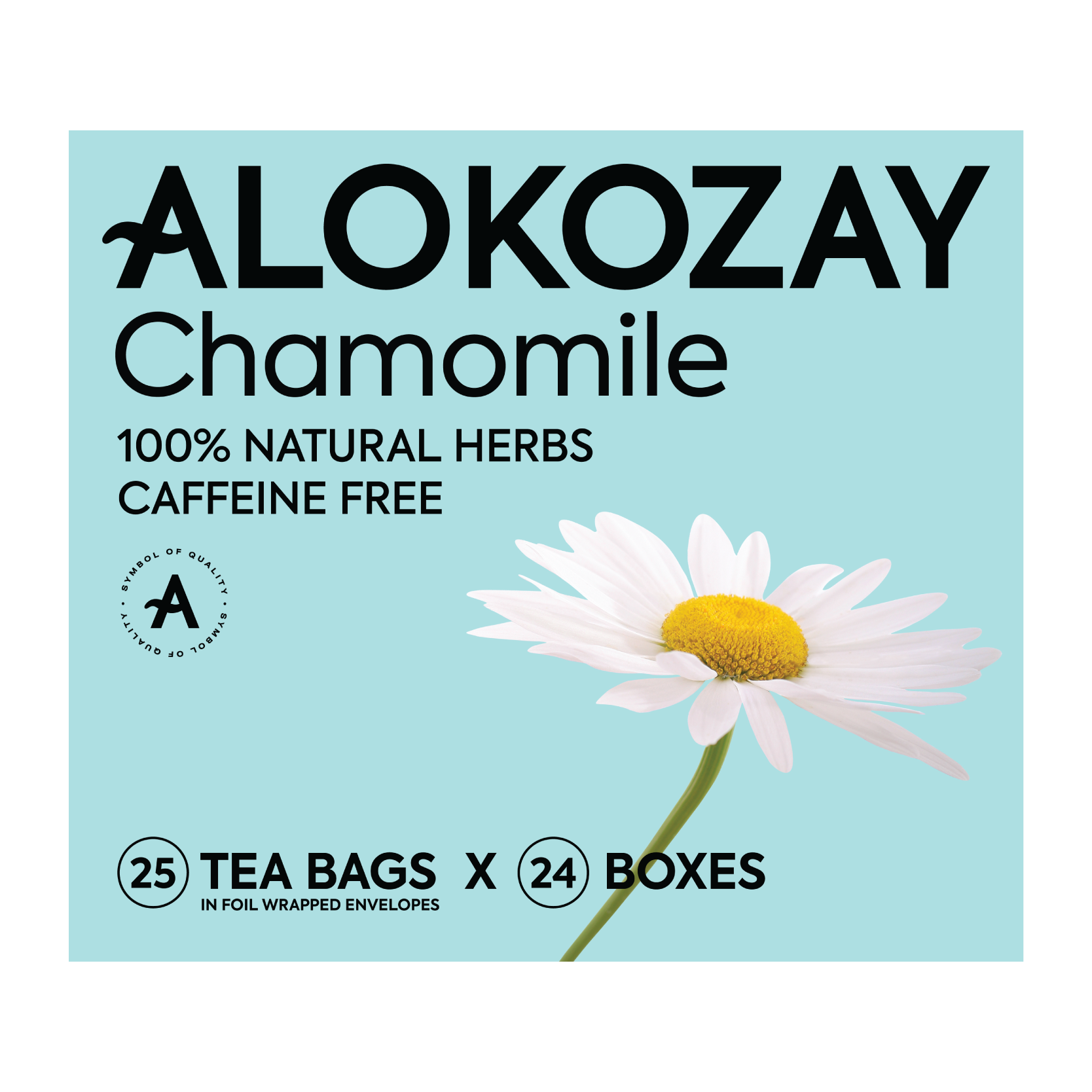 Product Pack of 12 Img Product Pack of 12 Img